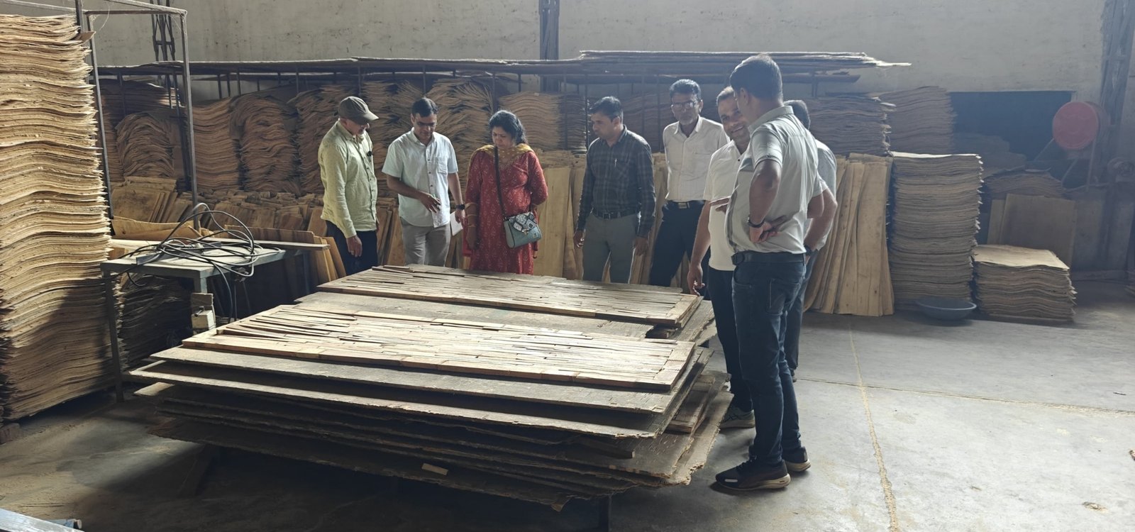 Visit to Gujarat's Plywood & Door Manufacturing Industry