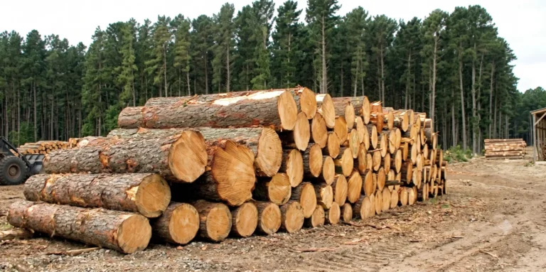 revisiting the 2002 licensing framework for wood based industries in india state level implications for timber supply agroforestry and rural industrialization 1536x765